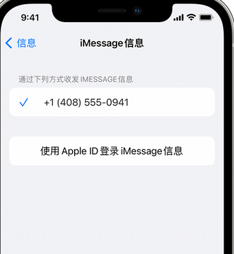 军垦路街道apple维修iPhone上无法正常发送iMessage信息 