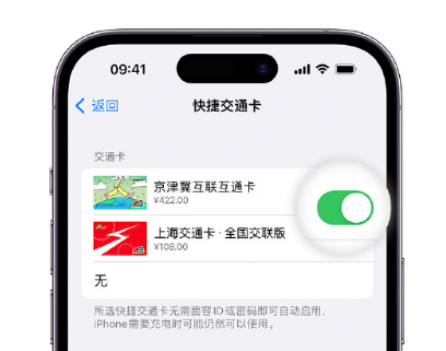 军垦路街道apple维修点分享iPhone上更换Apple Pay快捷交通卡手绘卡面 