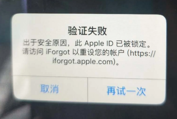 军垦路街道iPhone维修分享iPhone上正常登录或使用AppleID怎么办 