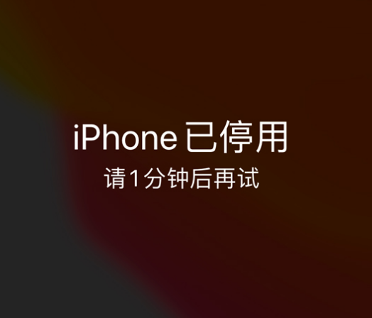 军垦路街道苹果手机维修分享:iPhone 显示“不可用”或“已停用”怎么办？还能保留数据吗？ 