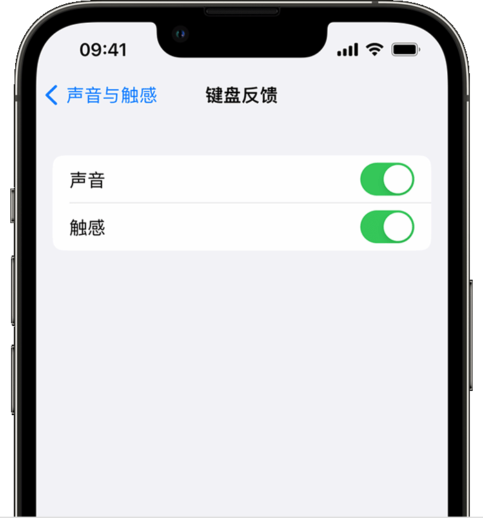 军垦路街道苹果14维修店分享如何在 iPhone 14 机型中使用触感键盘 