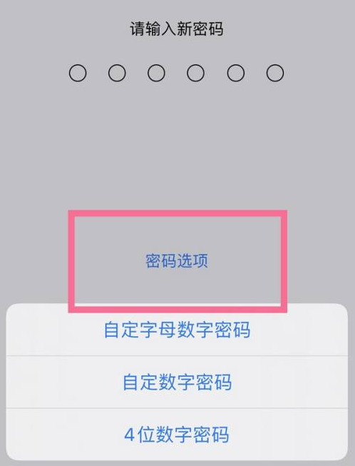 军垦路街道苹果14维修分享iPhone 14plus设置密码的方法 