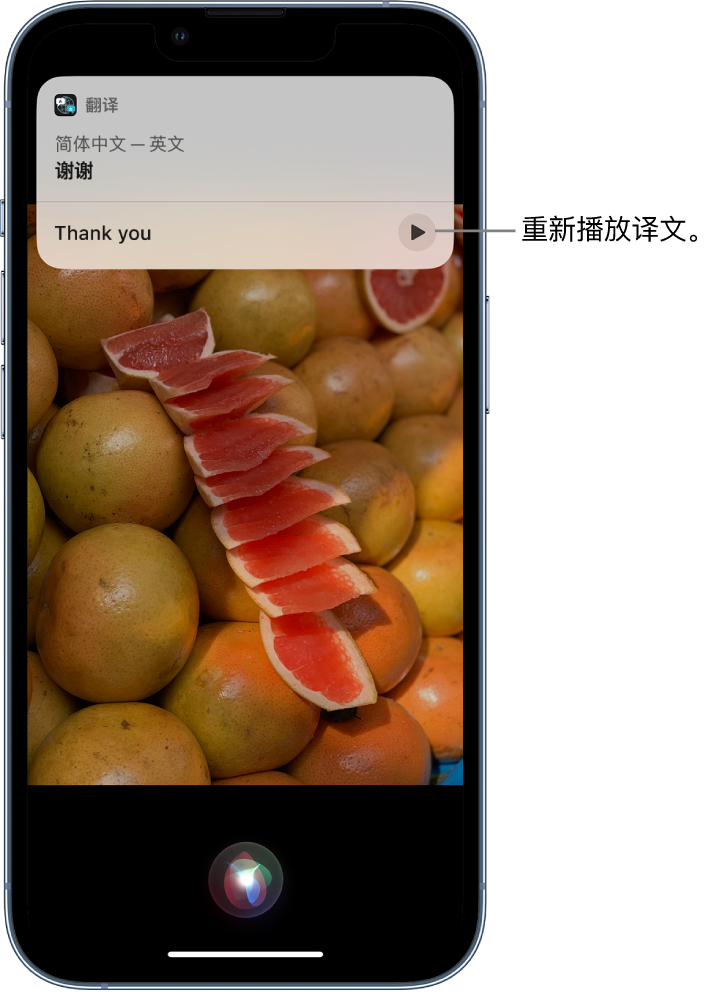 军垦路街道苹果14维修分享 iPhone 14 机型中使用 Siri：了解 Siri 能帮你做什么 