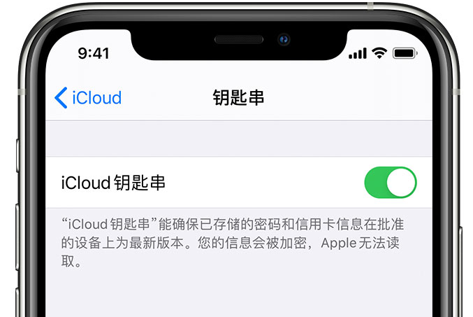 军垦路街道苹果手机维修分享在 iPhone 上开启 iCloud 钥匙串之后会储存哪些信息 