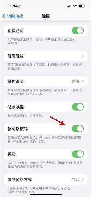 军垦路街道苹果手机维修分享iPhone手机如何设置摇一摇删除文字 